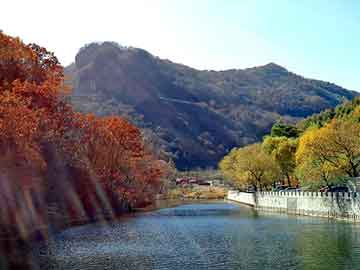 管家婆黑白马报图库，发泡调节剂